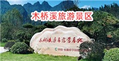 大鸡巴猛指少妇流白浆视频